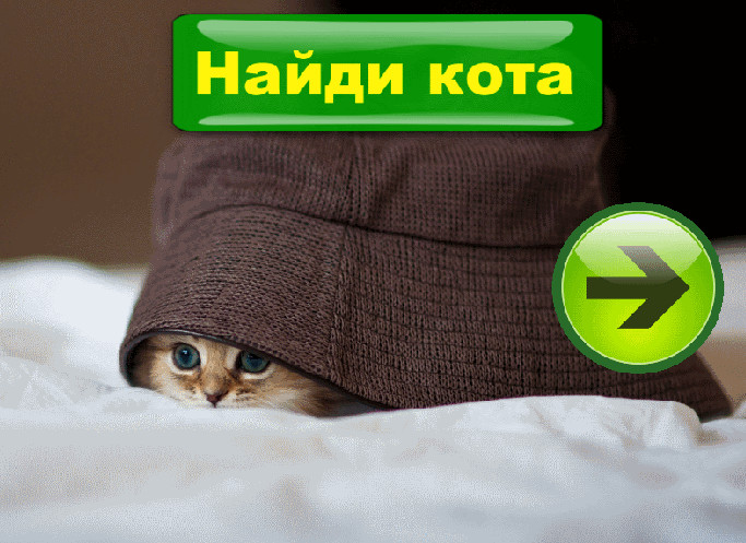 Найди кота на картинке картинка 1